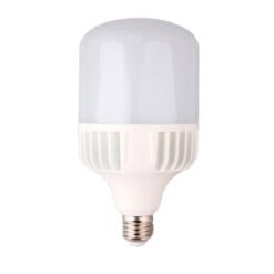 LEDs Alta Potencia Tipo T50W E27 6500K