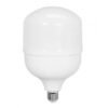 LEDs Alta Potencia Tipo T 50W E27 6500K